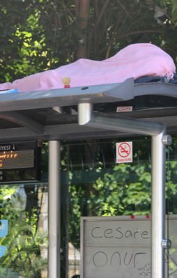 7 yıldır durakta yaşıyor!