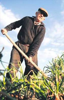 İşçilerin zammı tamam