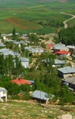 Aynı aileden 3 kişi o hastalıktan öldü