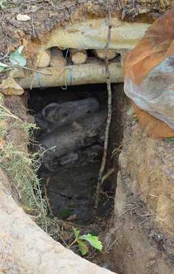 Bingöl'de PKK'ya darbe!