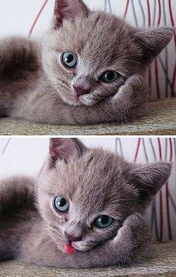 Evde canı sıkılan Türk kızı fotosu