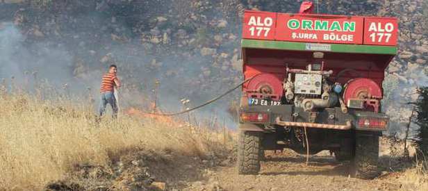 Valilik: Cudi Dağı’ndaki yangın söndürüldü