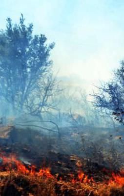 Alevler Bodrum'u sardı