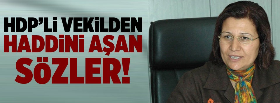 HDPli vekilden haddini aşan sözler!
