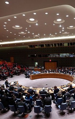 Güvenlik Konseyi Suruç'taki saldırıyı kınadı