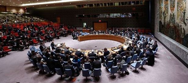 Güvenlik Konseyi Suruç'taki saldırıyı kınadı