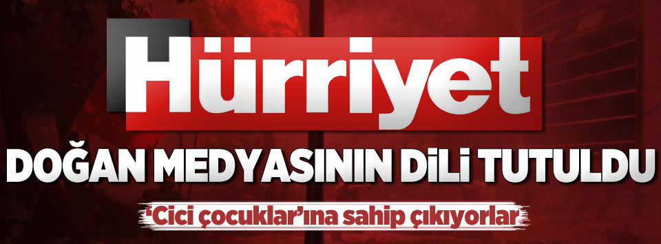 Doğan medyası hedef gösterdi PKK öldürdü!-3