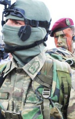 60 Bordo Bereli o köyü DAEŞ'in elinden aldı