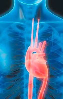 Masadaki kalp 25 dakika attı