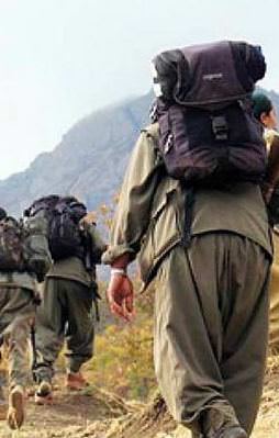 PKK'nın bir üst düzey yöneticisi daha yakalandı!