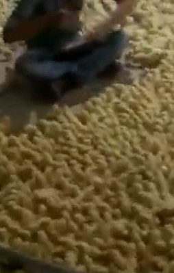 Böyle müzik aşkı görülmedi.