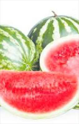 Karpuzlar elde kaldı