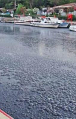CHP'nin foyası ortaya çıktı