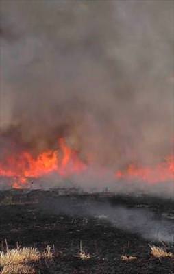 Muş'ta hain saldırı