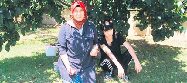 Bu formül dutar