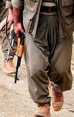 Bingöl'de 2 PKK'lı öldürüldü!