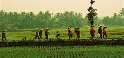 300 yıl süren Hollanda egemenliğinden sonra Kraliçe Juliana, Endonezya’nın bağımsızlığını tanıdı.