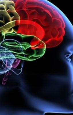 Beyin hücrelerinin rüya evresindeki hareketliliği ilk kez kaydedildi