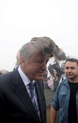 Erdoğan'ın başına keklik kondu