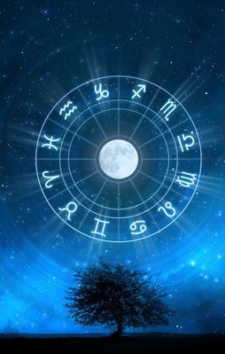 Burçlar nasıl özür diliyor?