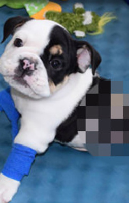 Yaşama azmi gözlerinizi yaşartacak!