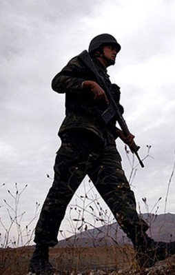 Terör operasyonlarında 43 günlük bilanço