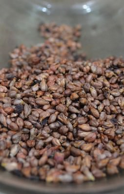 "Üzüm çekirdeği varisten koruyor"