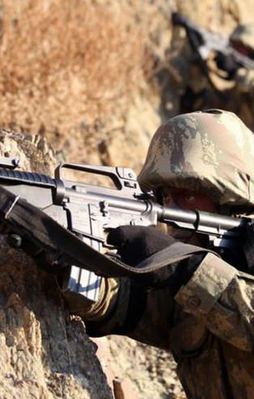 Operasyonlarda toplam 650 terörist öldürüldü