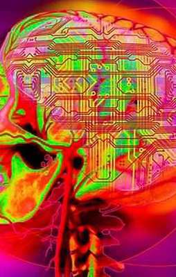 Laboratuvarda insan beyni üretildi