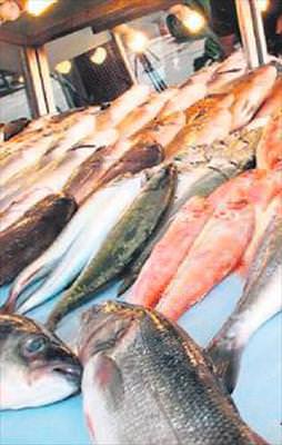 Balığa doyacağız