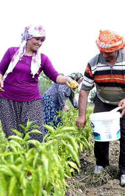 Çiftçiye toprak analizi uyarısı