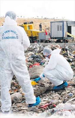 Parça parça vahşet