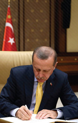 İşte Cumhurbaşkanı Erdoğan'ın bir yılı