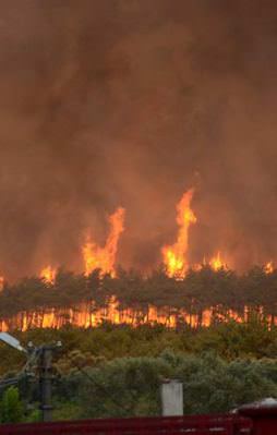 Bursa'da korkutan orman yangını