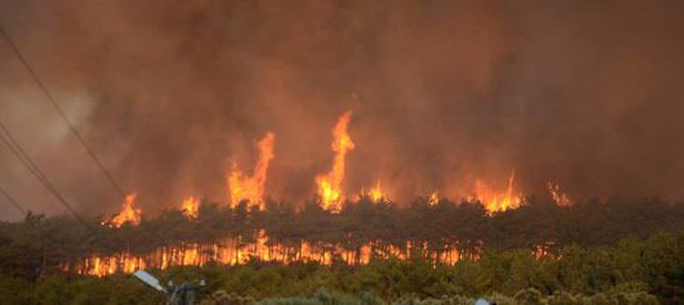 Bursa’da korkutan orman yangını