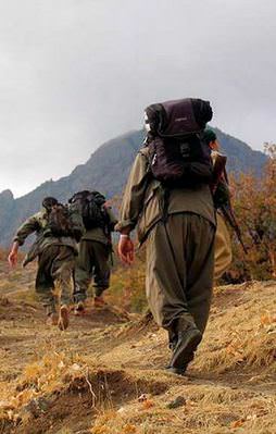 PKK'lı teröristlere AB himayesi