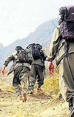 Ceylanpınar'da 2 terörist teslim oldu