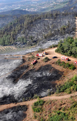 Tekrar ağaçlandırılacak