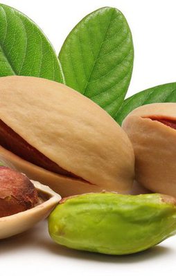 Antep fıstığı üretiminde yüzde 80 artış bekleniyor