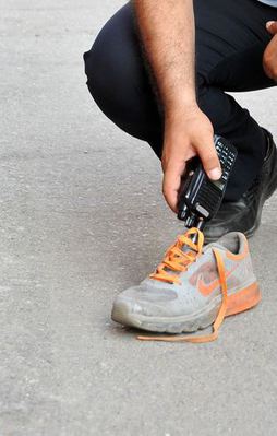 Kül kedisi gibi hırsız