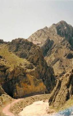 Kalleş pusu burada kuruldu!