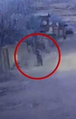 Polise atmak istediği roket elinde patladı