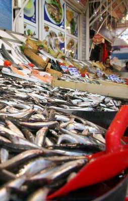 Hamsinin fiyatı 5 liraya düştü