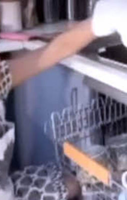 Bulaşık makinasında yemek pişirmek