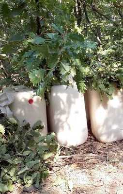 PKK'ya 4 tonluk darbe!