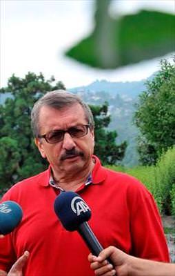 Sıfır kalorili şeker