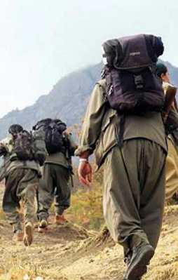 PKK'lı teröristten Kandil itirafı!