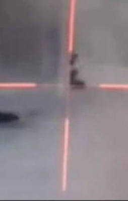 34 hain işte böyle öldürüldü