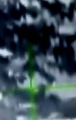 Elif'in katili terörist öldürüldü