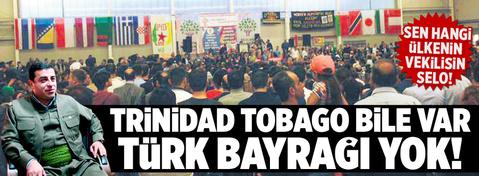 Sizin milletle de bayrakla da sorununuz var-1